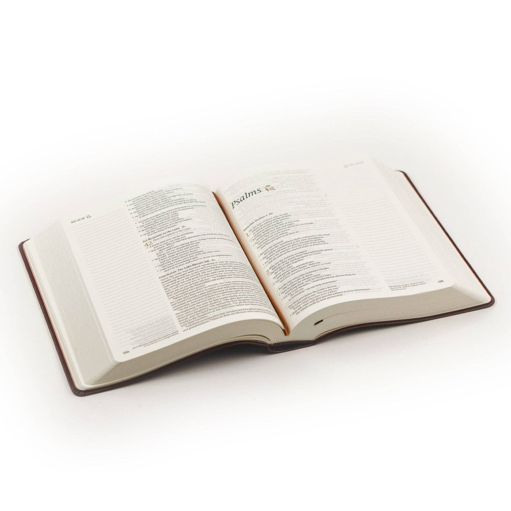 NLT Notetaking Bible: Santa Elena Theme