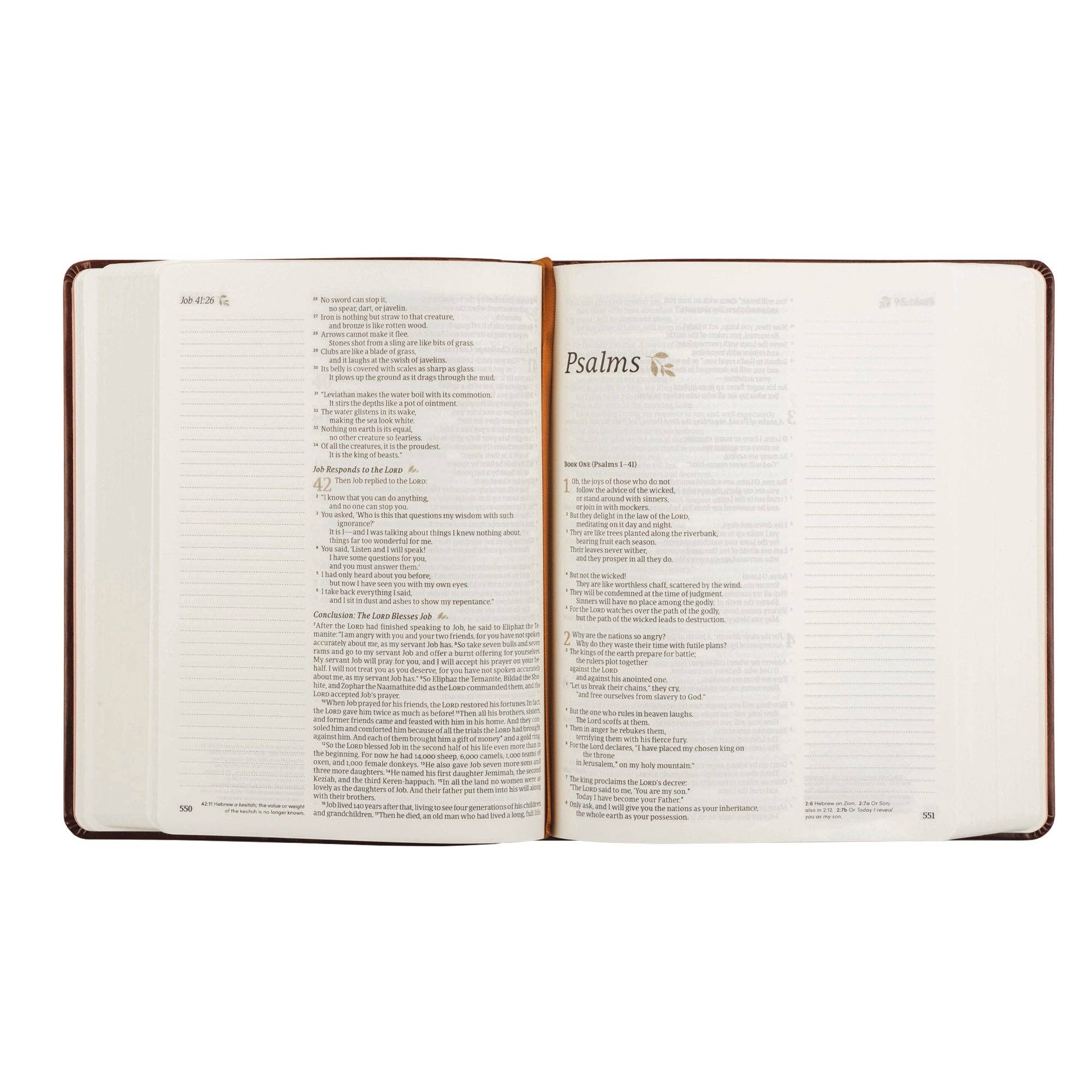 NLT Notetaking Bible: Santa Elena Theme