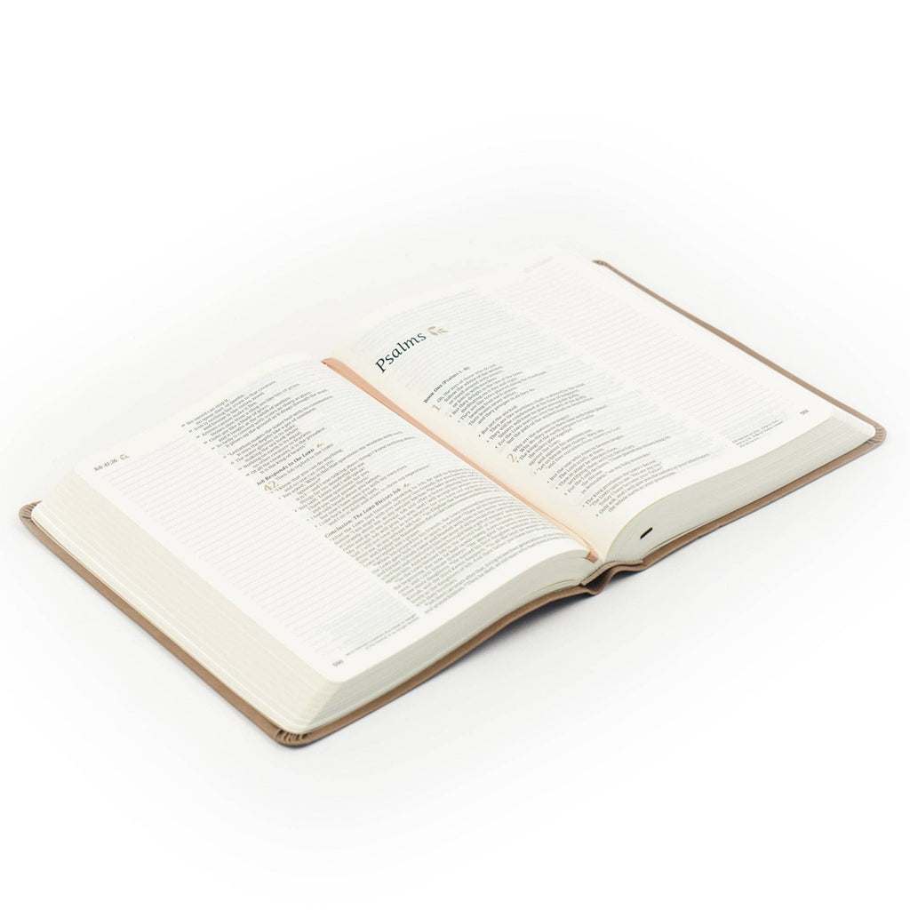 NLT Notetaking Bible: Galilee Theme